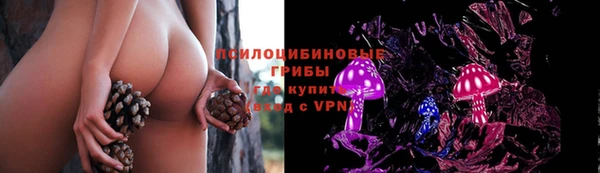 меф Белокуриха
