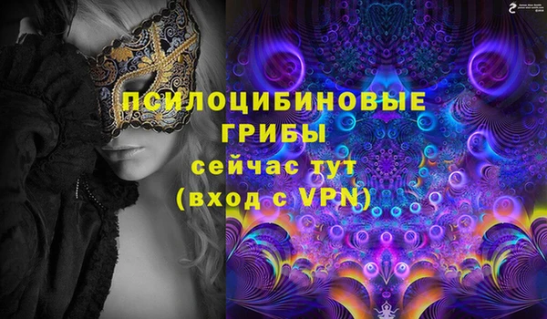 ALPHA PVP Беломорск
