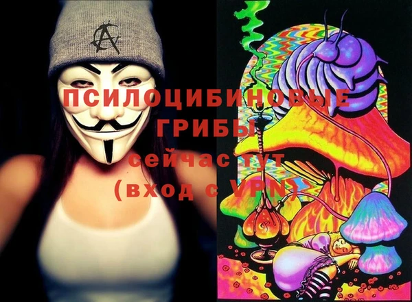 ALPHA PVP Беломорск